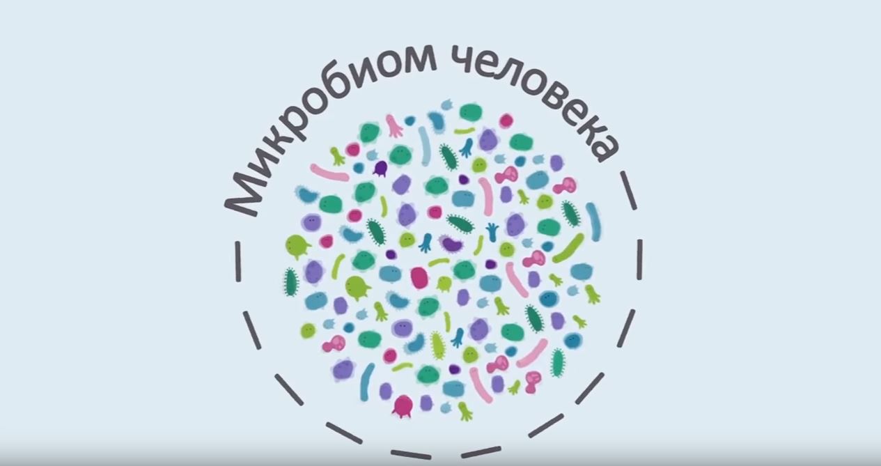 Микробиом человека презентация